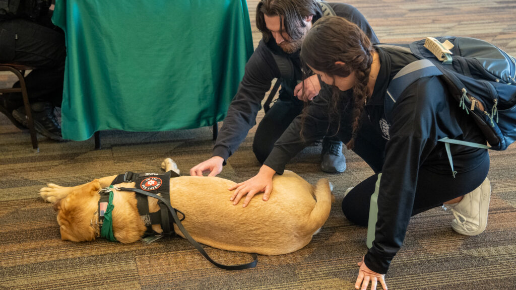Two students petting Rune, the therapy dog. 